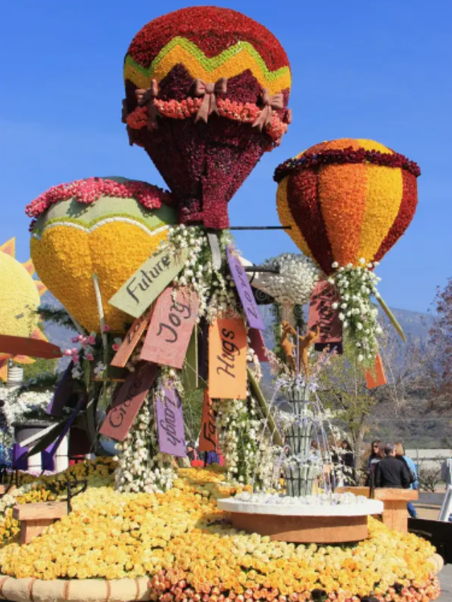 How to watch 2024 Rose Parade online » HaimiWorld