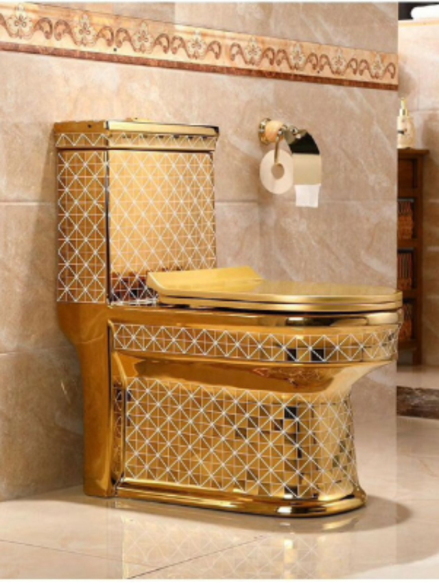 10 Most Expensive Toilets in the World » HaimiWorld