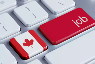 High Paying and In Demand Jobs in Canada You Need to Know About (Haimi world)